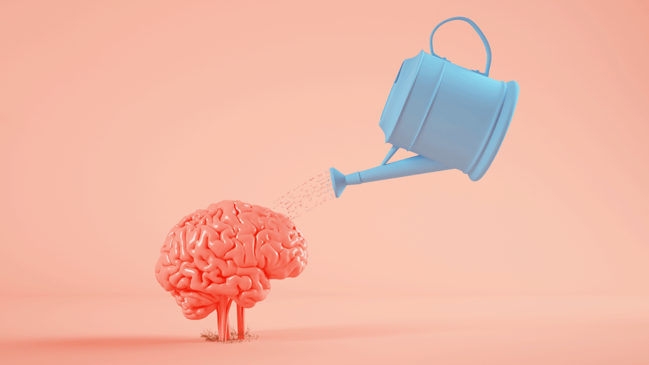 Do Plants Have An Effect On Your Mental Health & Wellbeing?